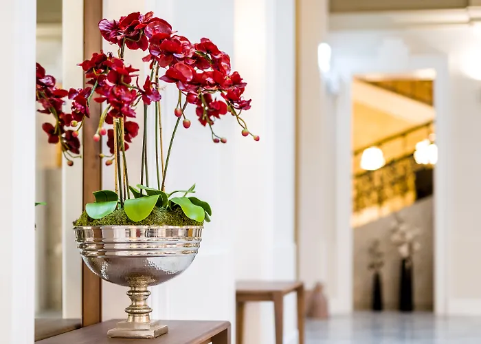 Hotel Moments By Continental Group 4*